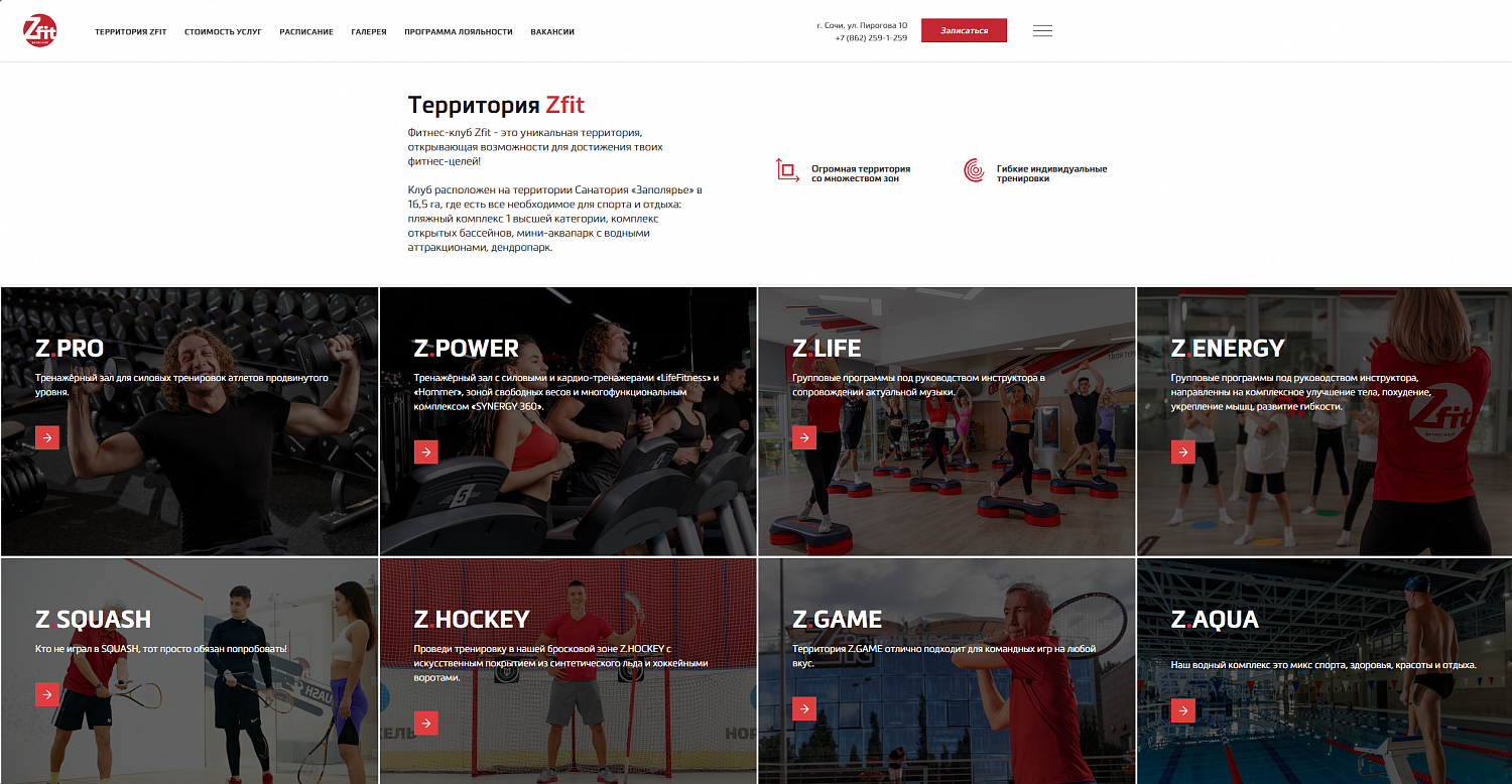 ZFIT SOCHI
